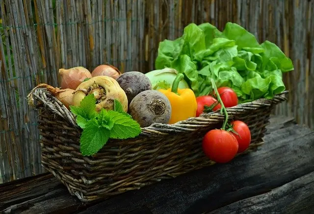 Proč by měla zelenina tvořit základ našeho jídelníčku?